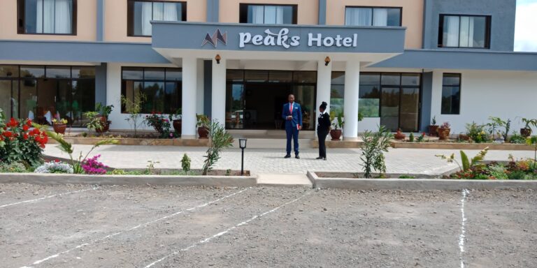 0. Hotel Overview