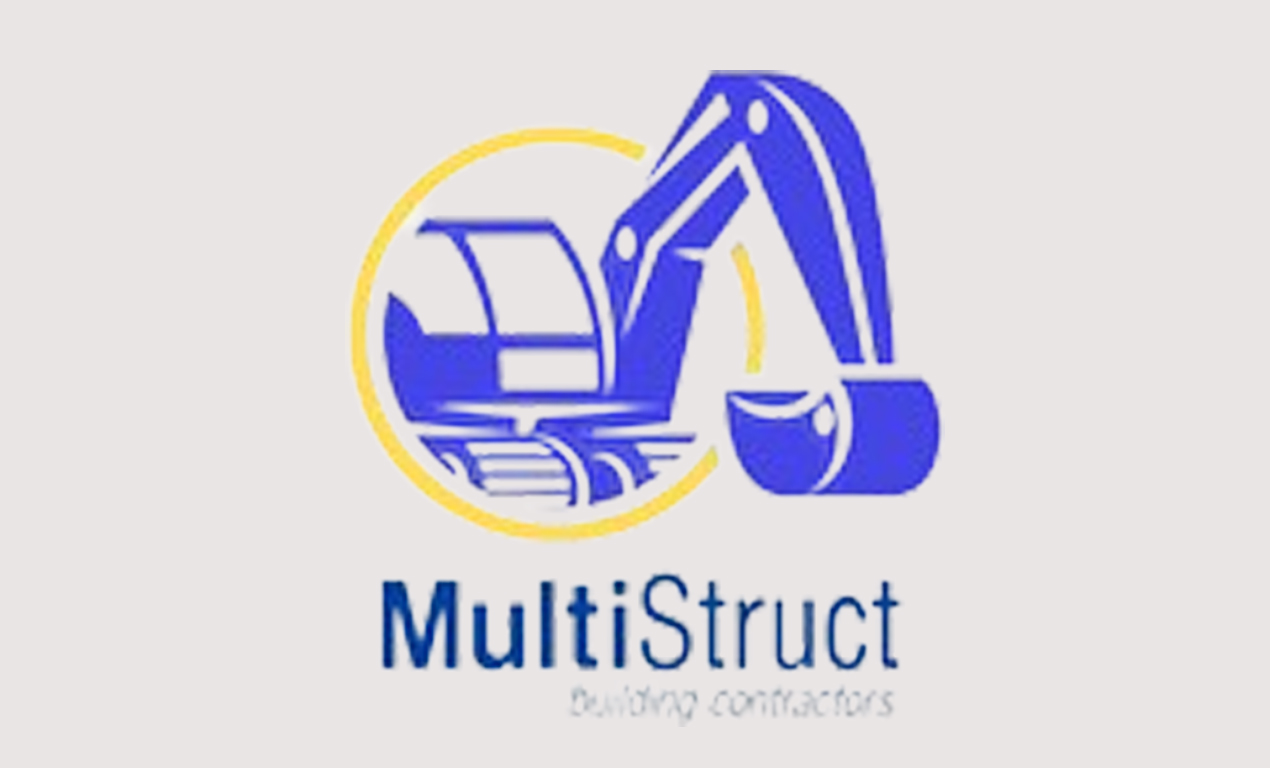 Multistruct logo
